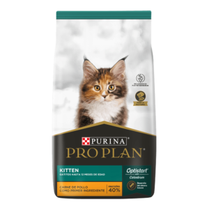 Gato saludable comiendo Pro Plan